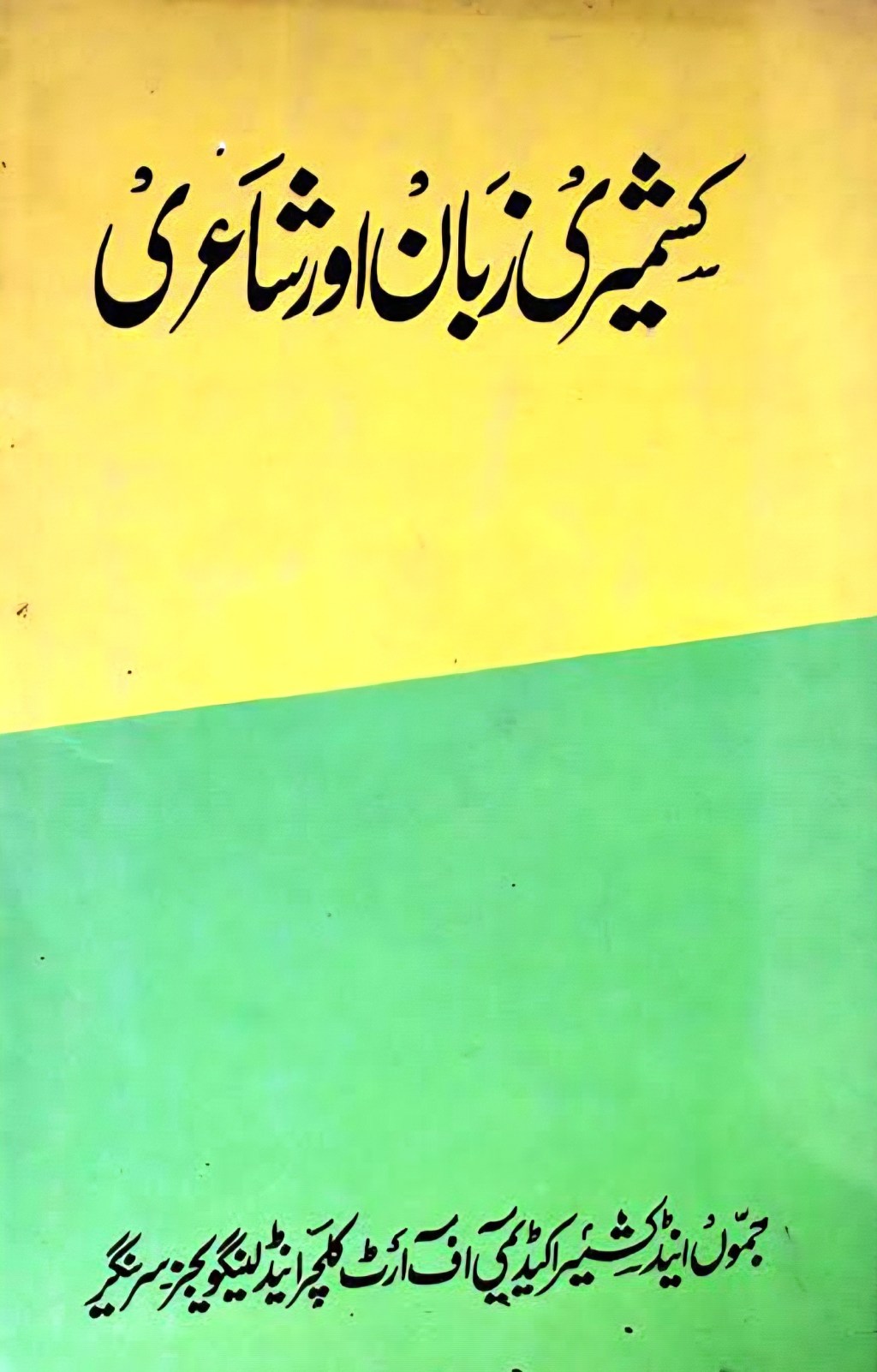 Kashmiri Zubaan aur Shayari by Abdul Ahad&nbsp;Azad